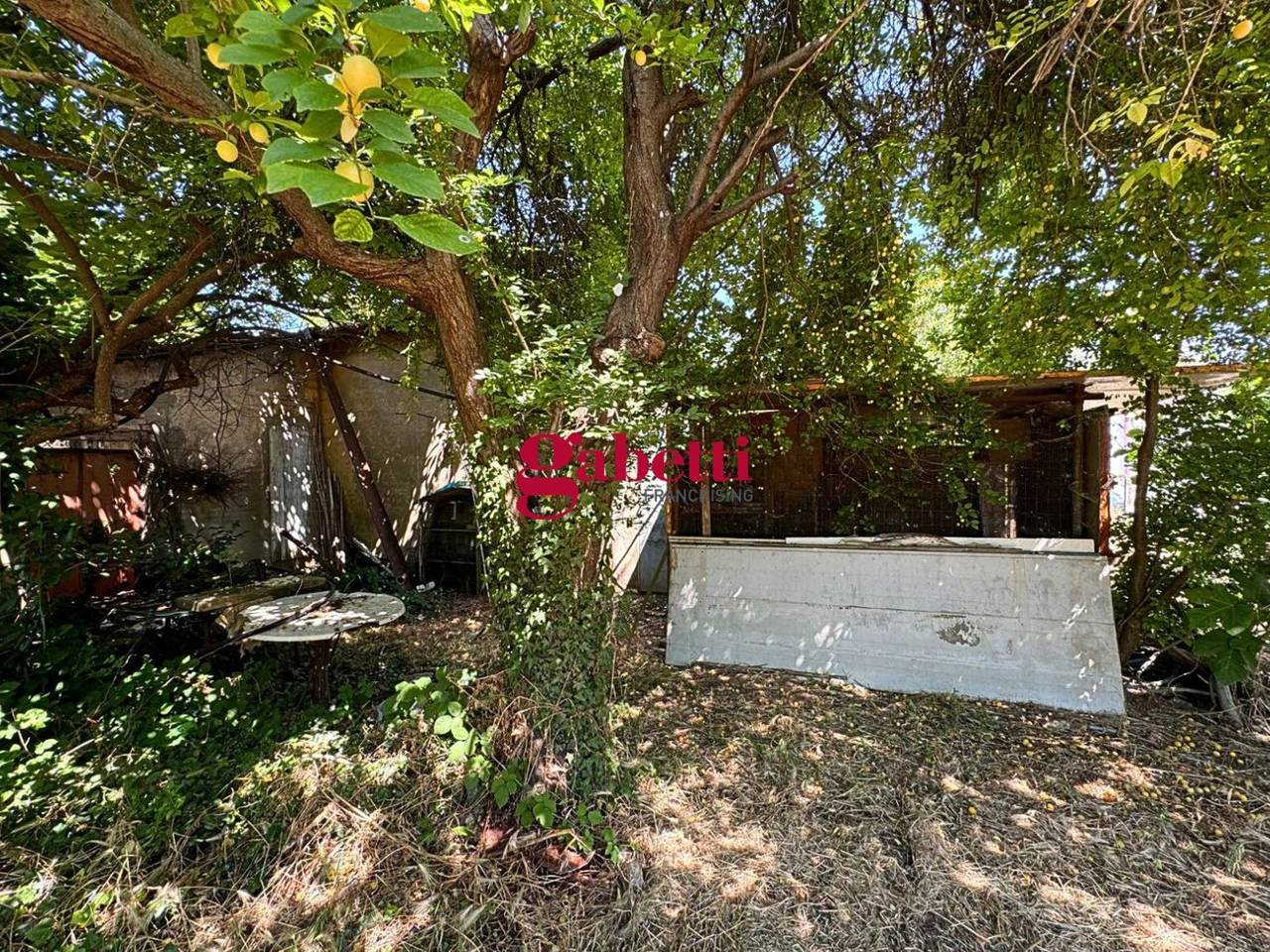 immagine annuncio 7 di 11