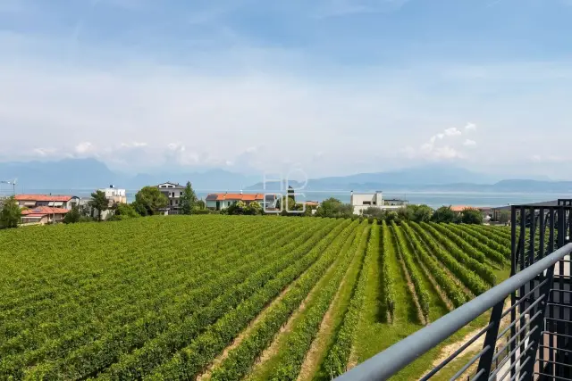 insertion image
