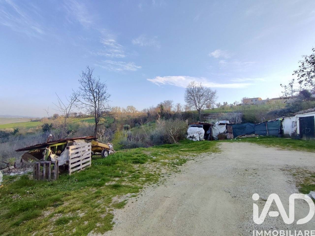 immagine annuncio 11 di 15