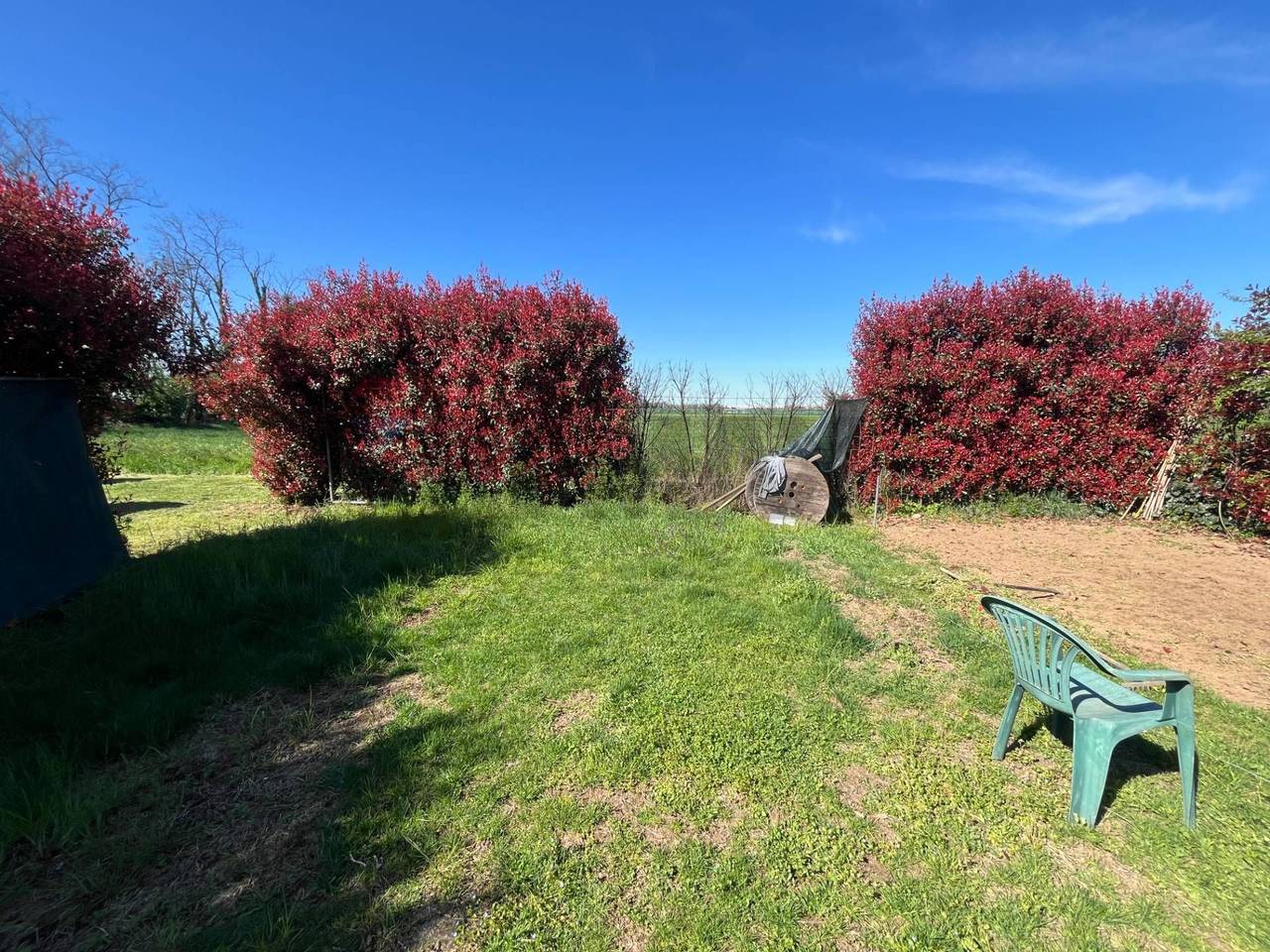 immagine annuncio 5 di 8