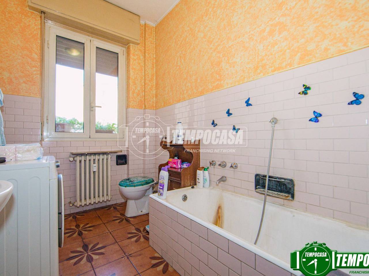 immagine annuncio 7 di 12