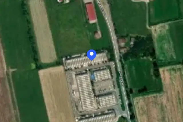 insertion image