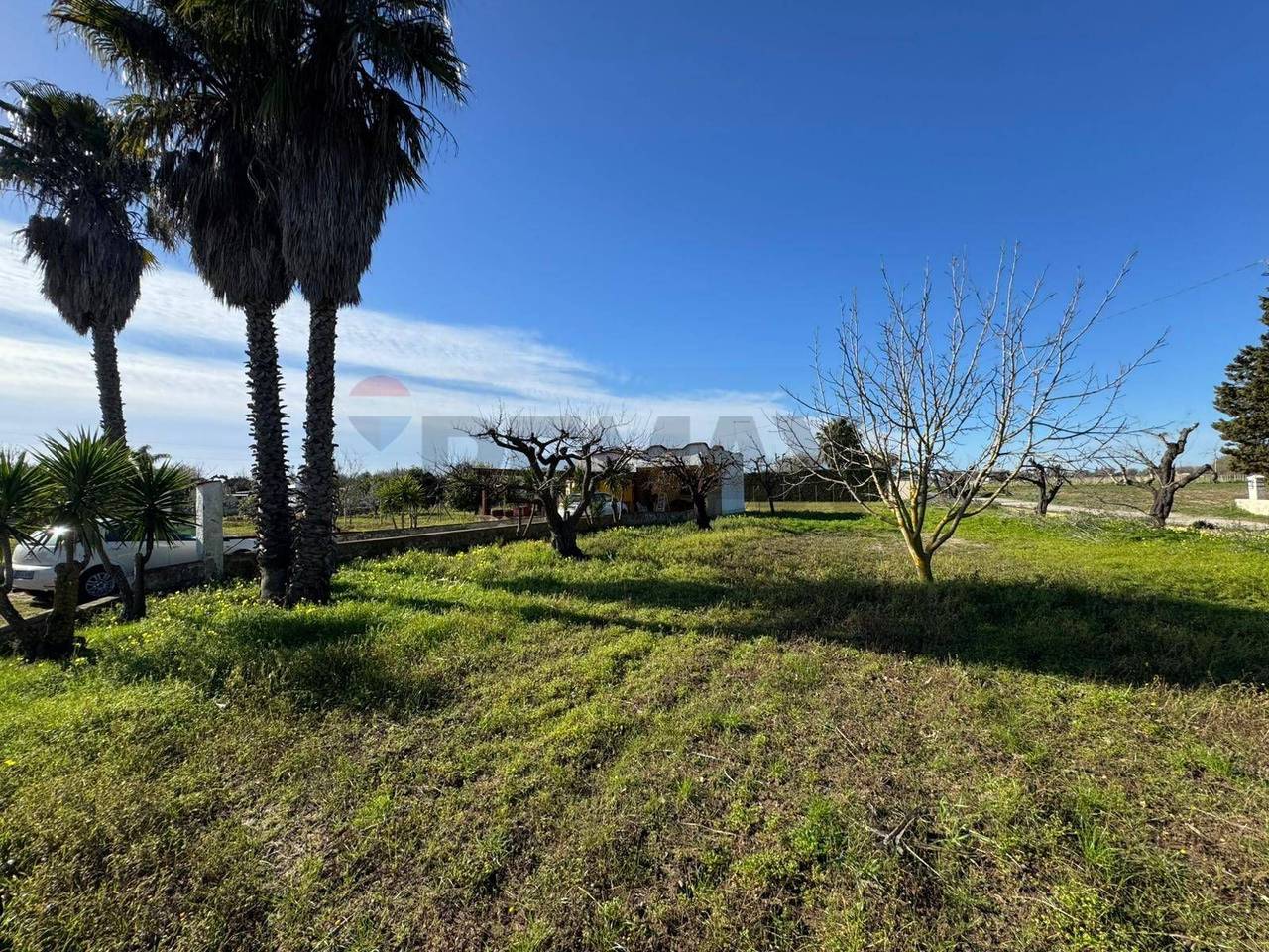 immagine annuncio 5 di 9