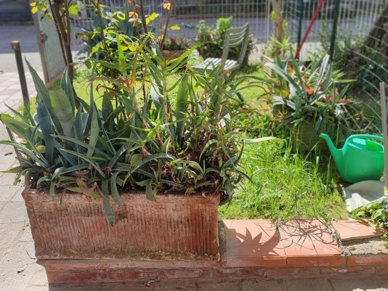 immagine annuncio 10 di 15