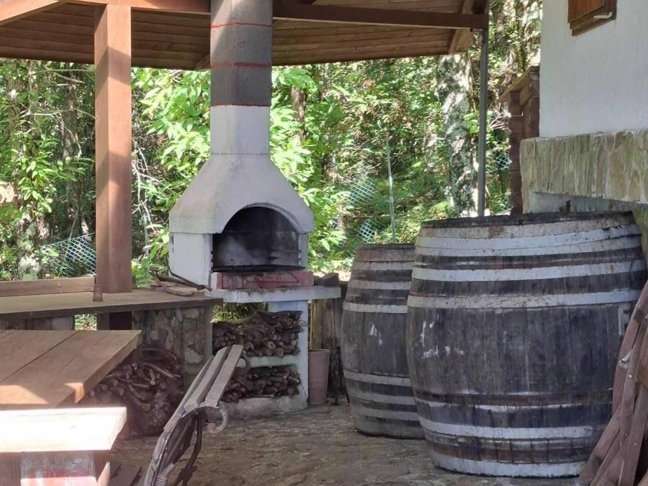 immagine annuncio 3 di 11