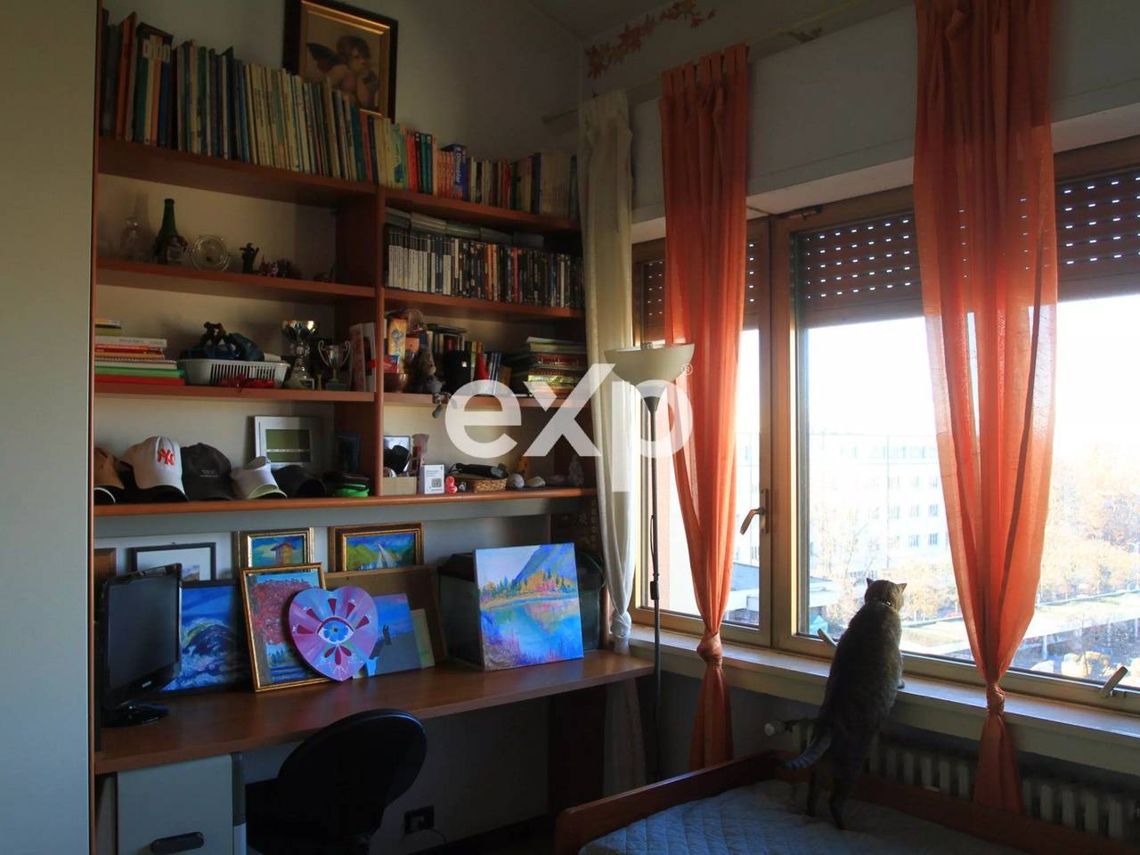 immagine annuncio 13 di 15