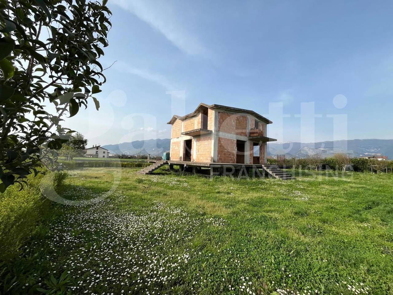 immagine annuncio 12 di 13