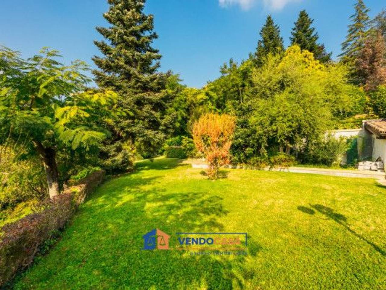 immagine annuncio 7 di 12