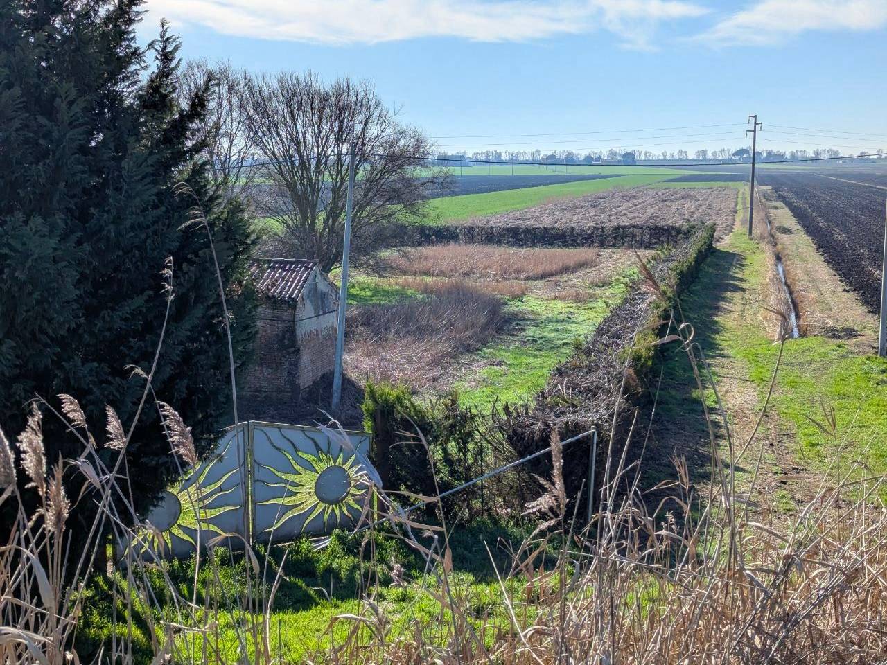 immagine annuncio 6 di 11