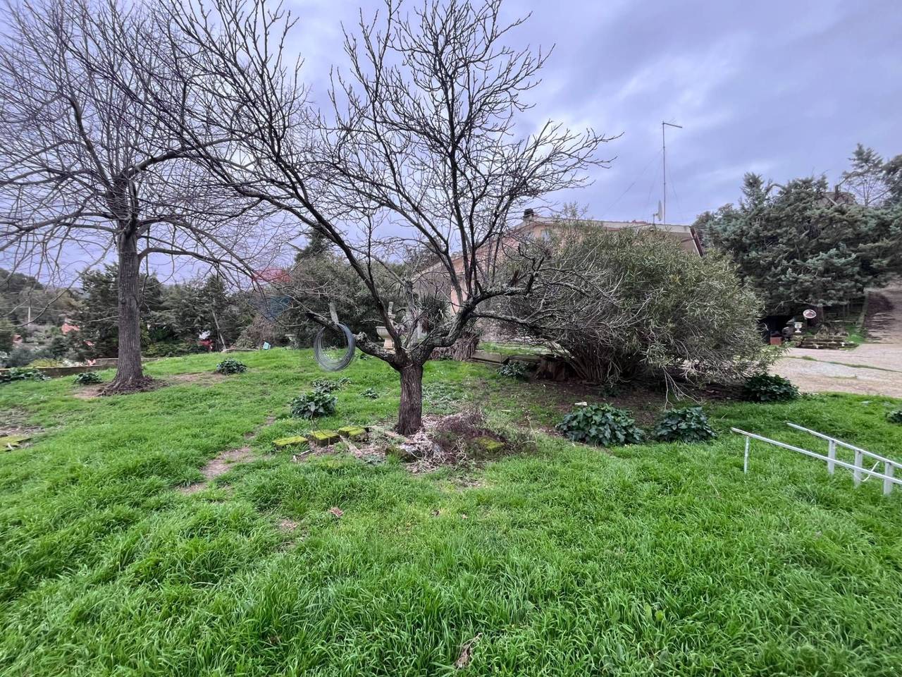 immagine annuncio 12 di 13