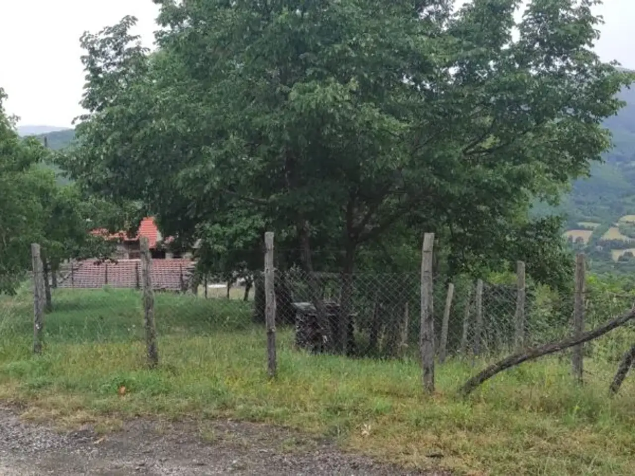 Azienda agricola in , Pieve Santo Stefano, {3} - Foto 2