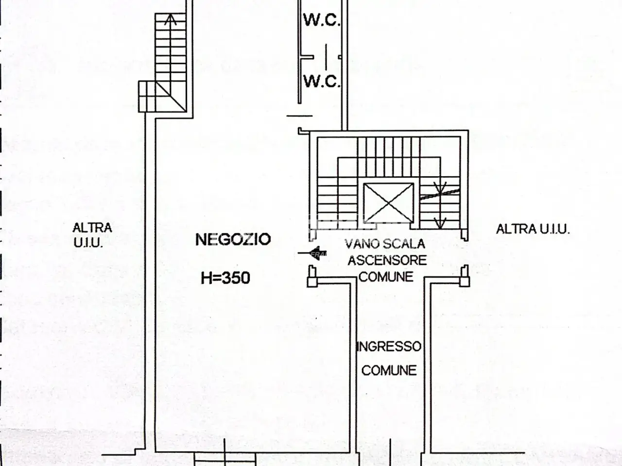 Negozio in , Novara, {3} - Planimetria 1