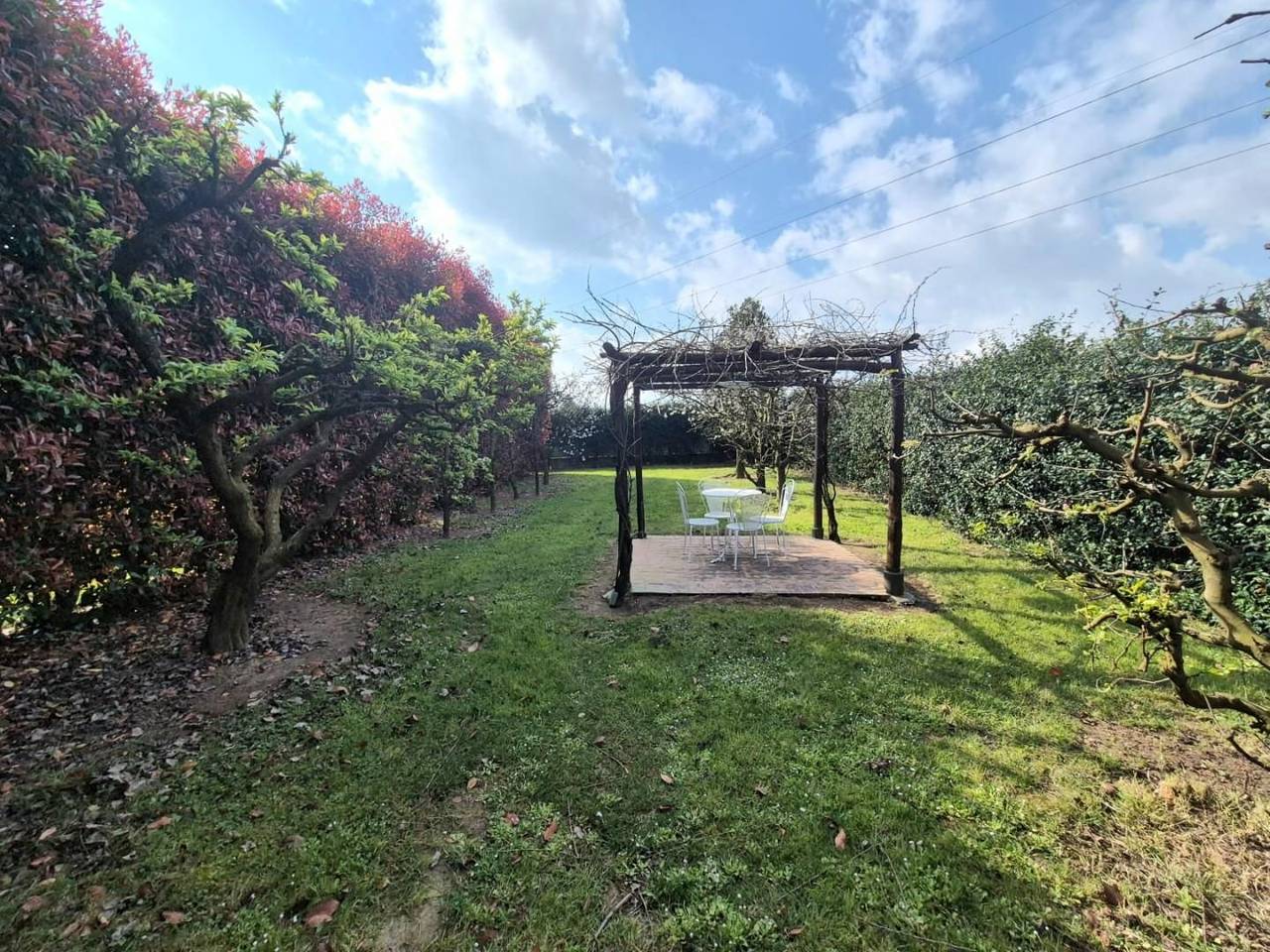 immagine annuncio 13 di 15