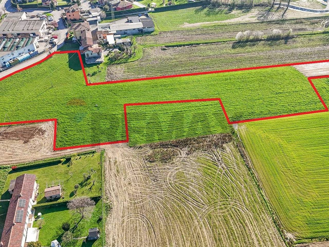 immagine annuncio 4 di 7