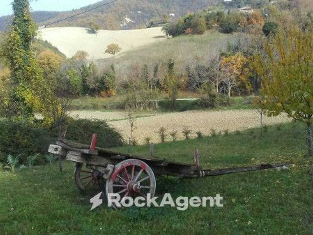 immagine annuncio 13 di 15