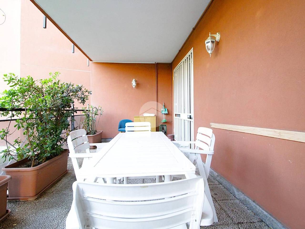 immagine annuncio 2 di 14