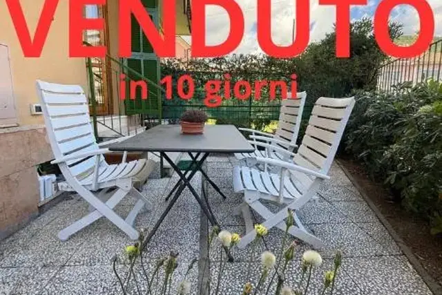 insertion image
