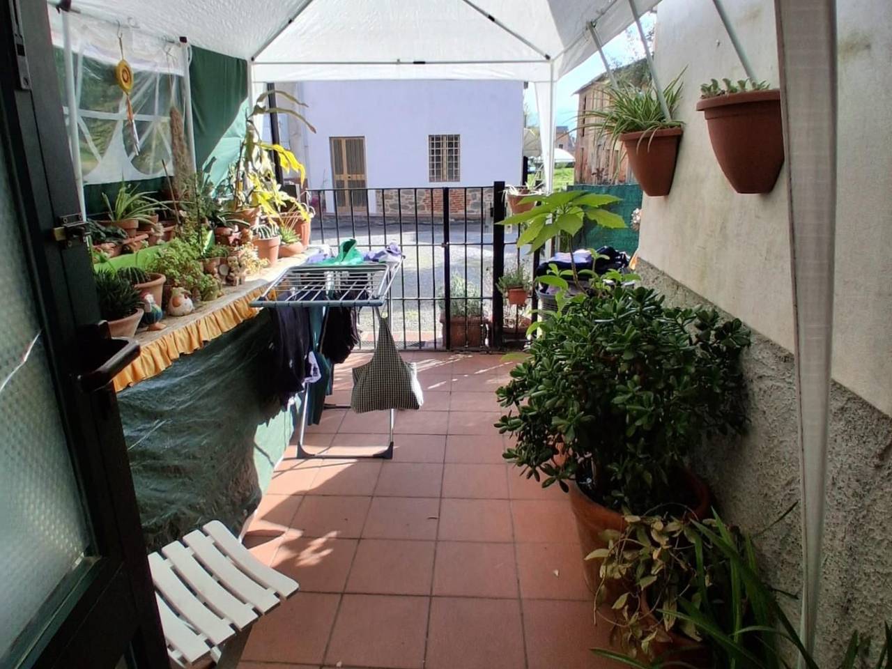 immagine annuncio 11 di 13