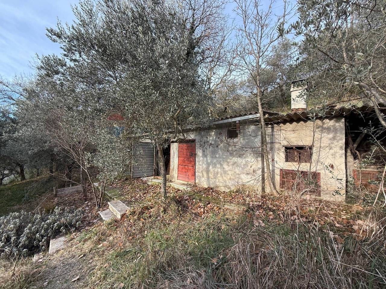 immagine annuncio 7 di 15