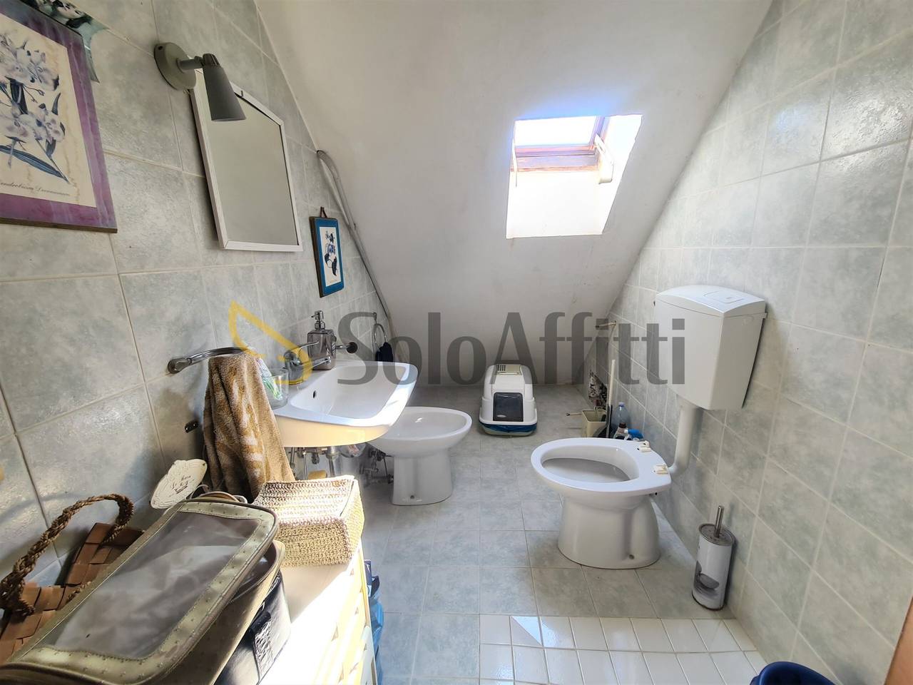 immagine annuncio 9 di 13
