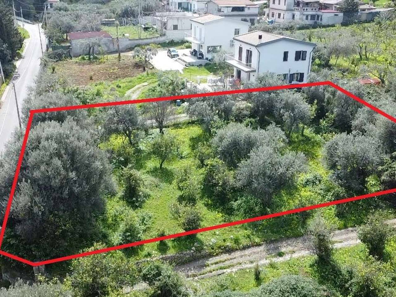 immagine annuncio 1 di 6