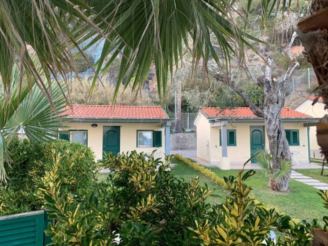 immagine annuncio 10 di 11