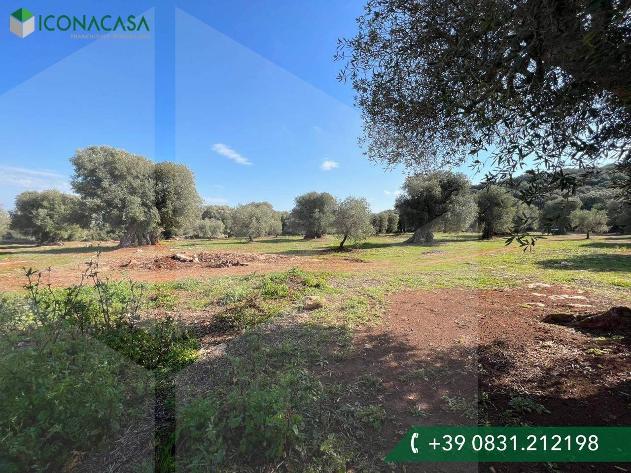 immagine annuncio 1 di 9