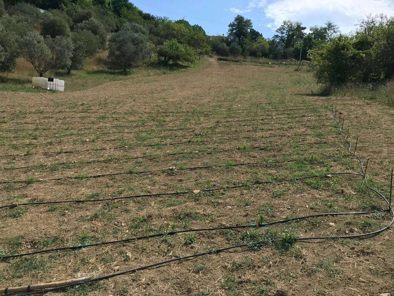 immagine annuncio 2 di 11