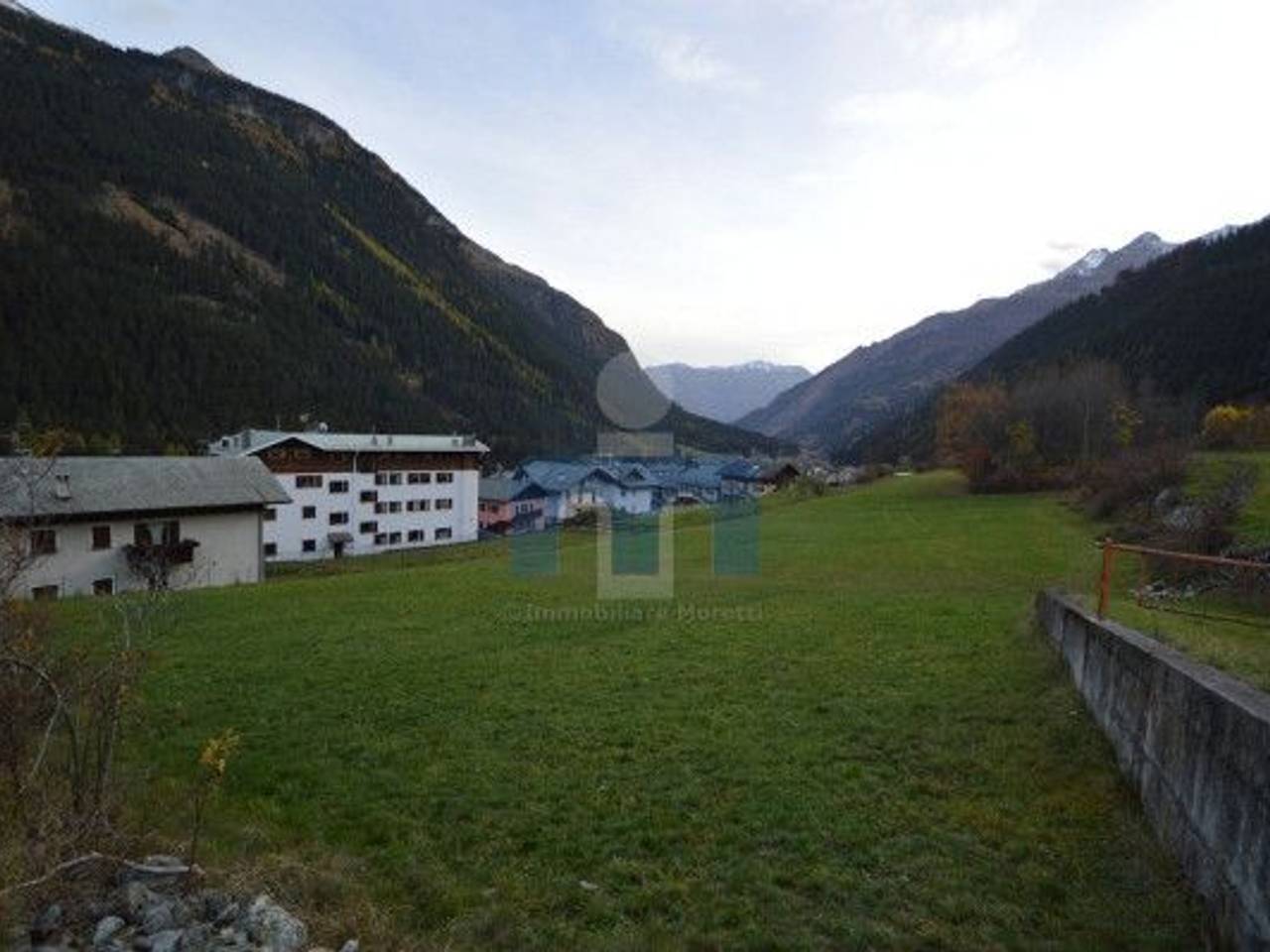 immagine annuncio 10 di 11