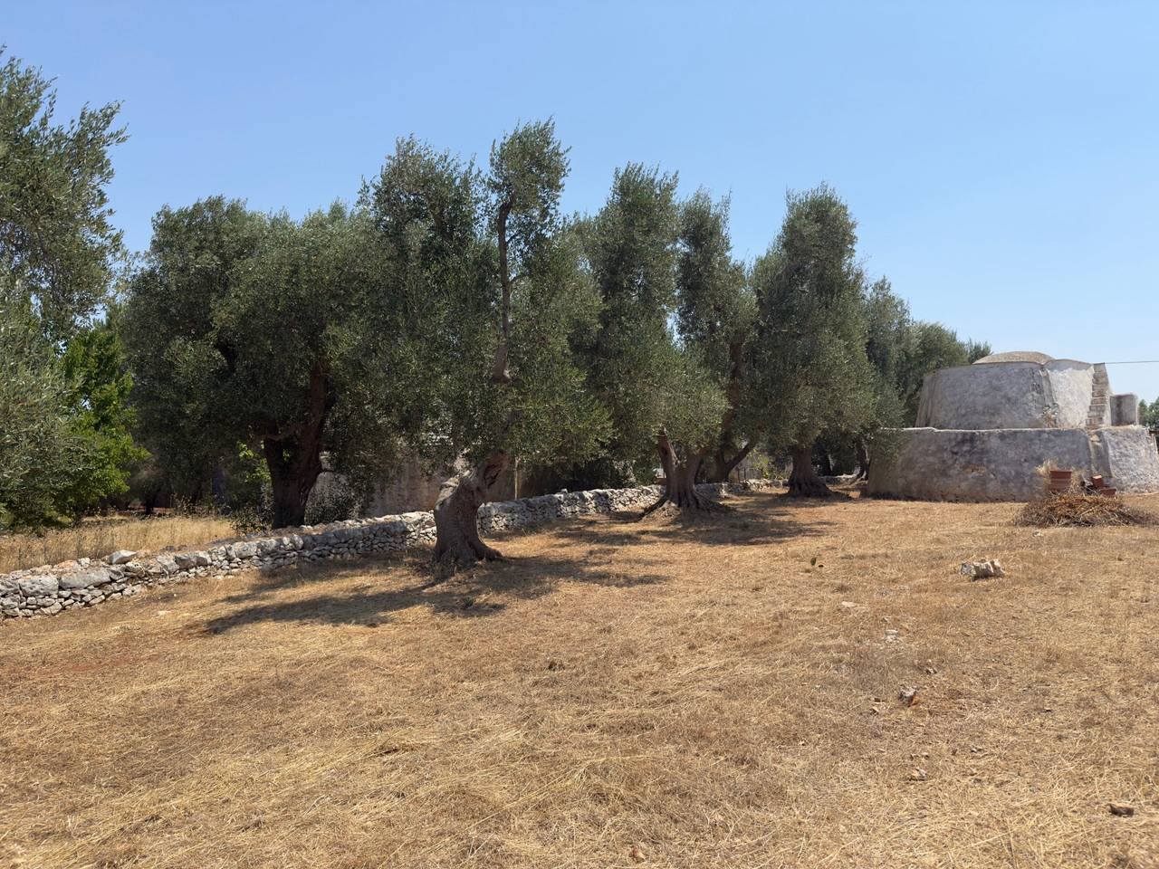 immagine annuncio 4 di 7