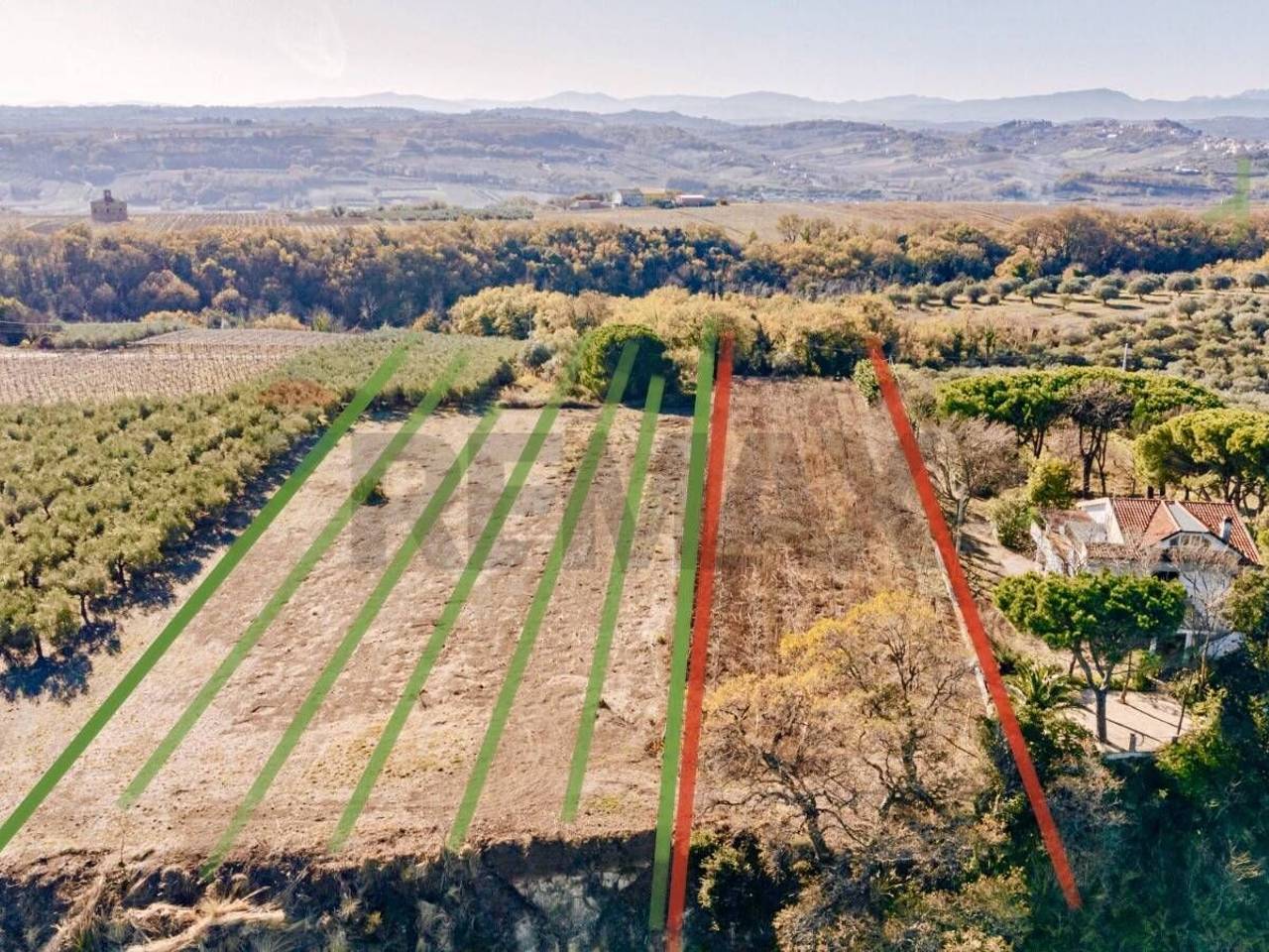 immagine annuncio 5 di 6