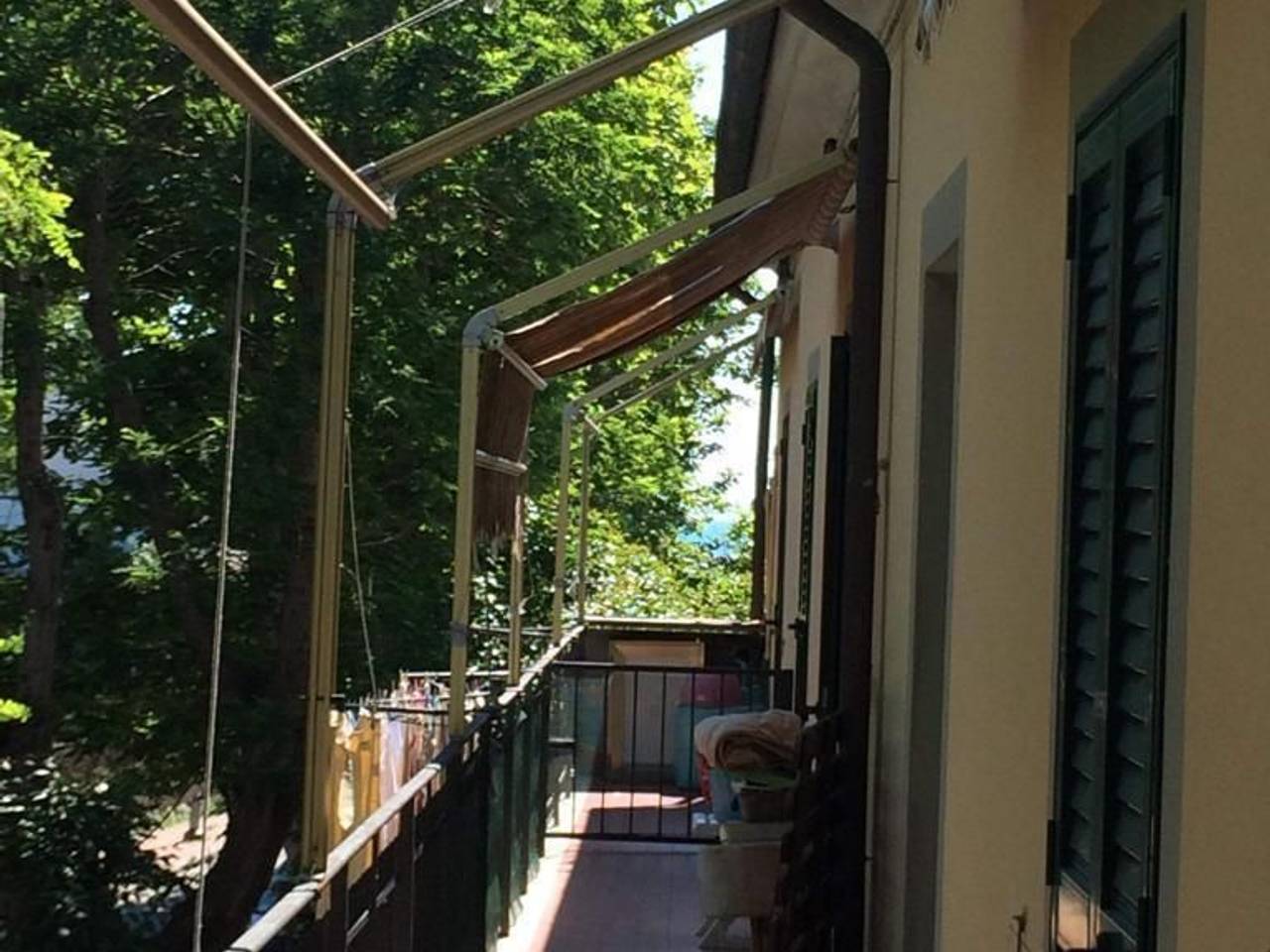 immagine annuncio 2 di 6