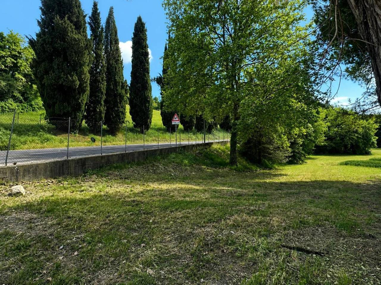 immagine annuncio 5 di 6