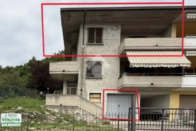 insertion image