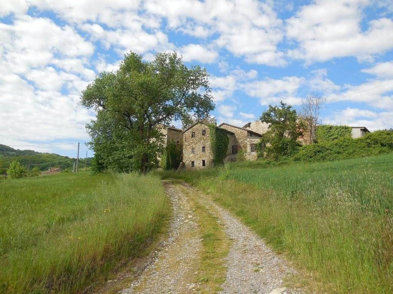 immagine annuncio 10 di 11