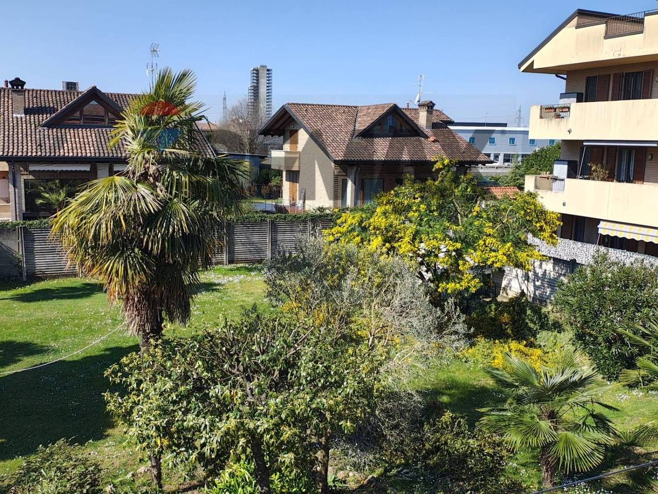 immagine annuncio 6 di 8