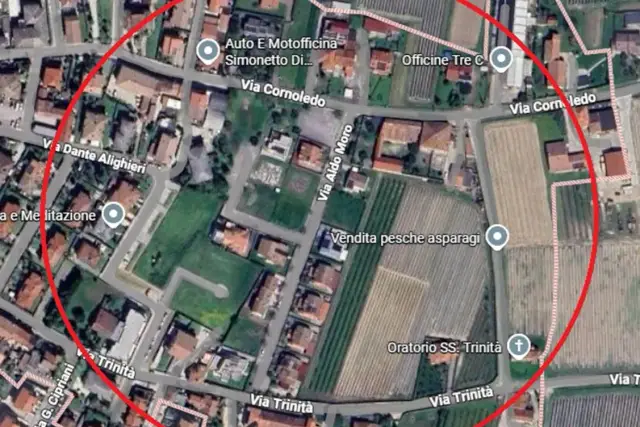 insertion image