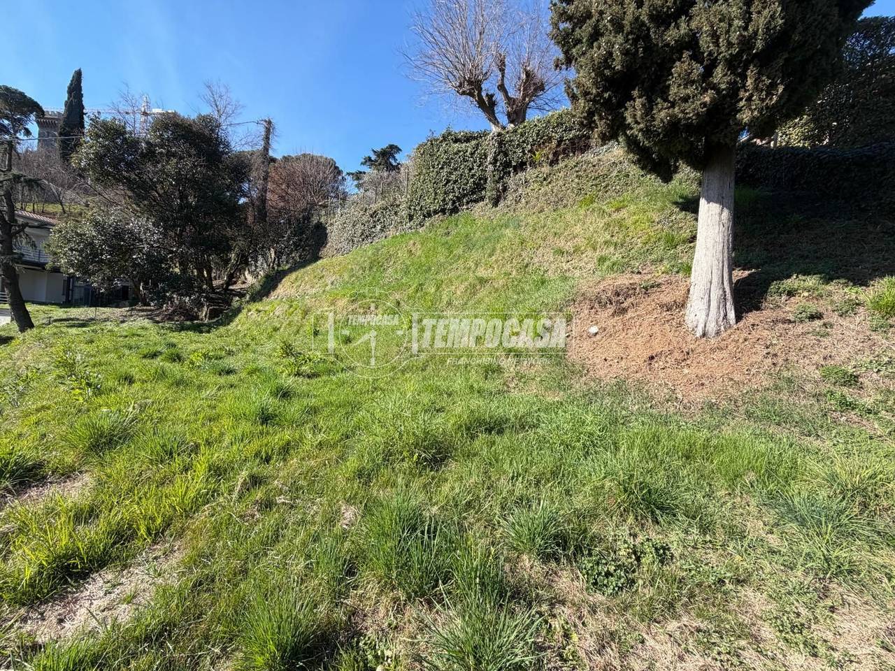 immagine annuncio 2 di 6