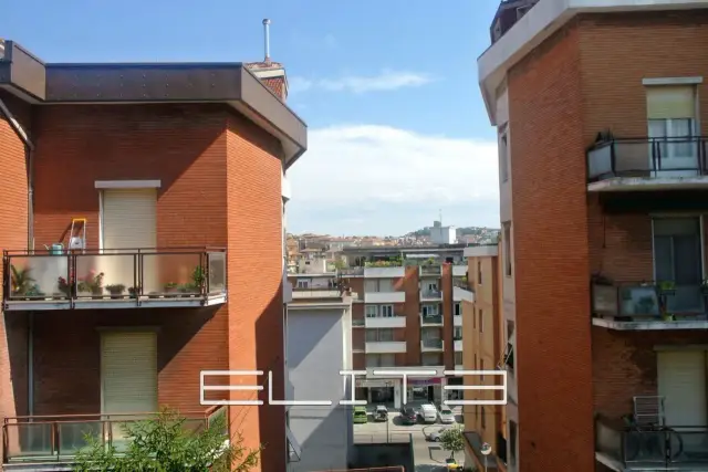 insertion image