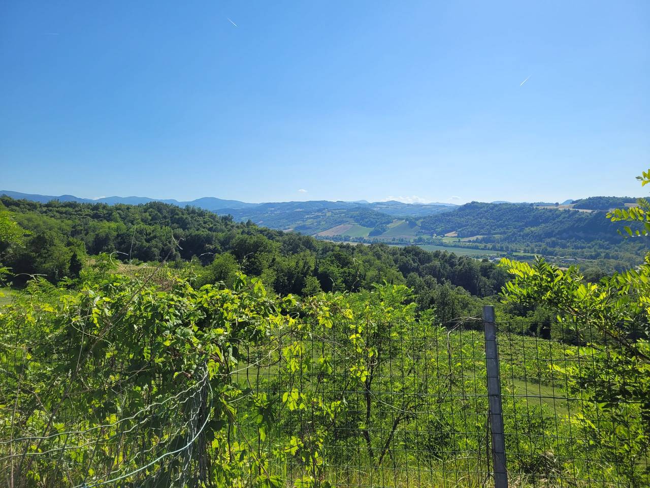 immagine annuncio 9 di 11