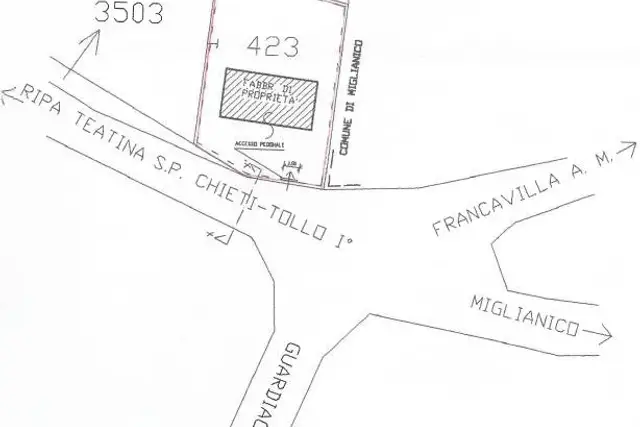 insertion image