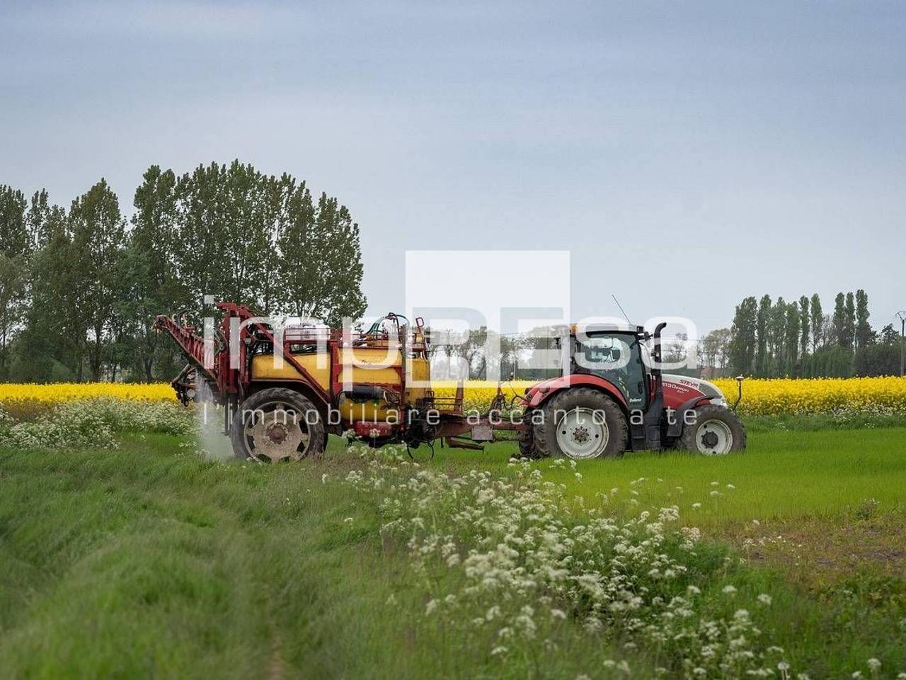 immagine annuncio 3 di 10