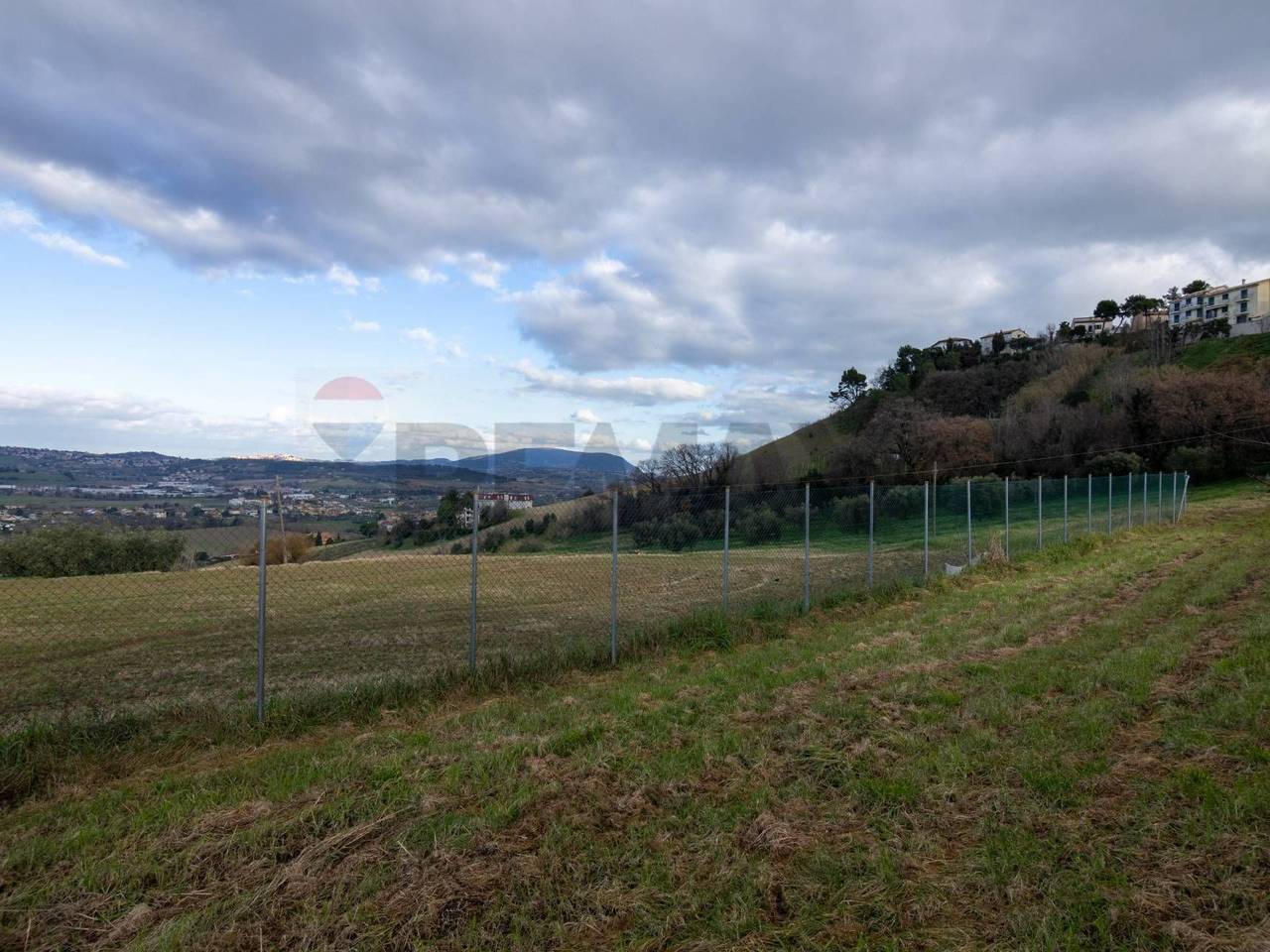 immagine annuncio 2 di 13