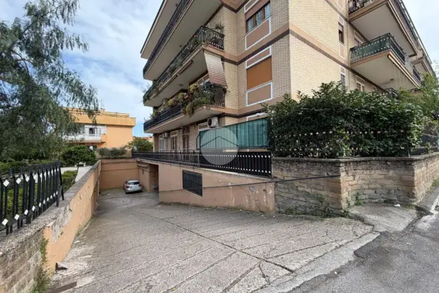 insertion image