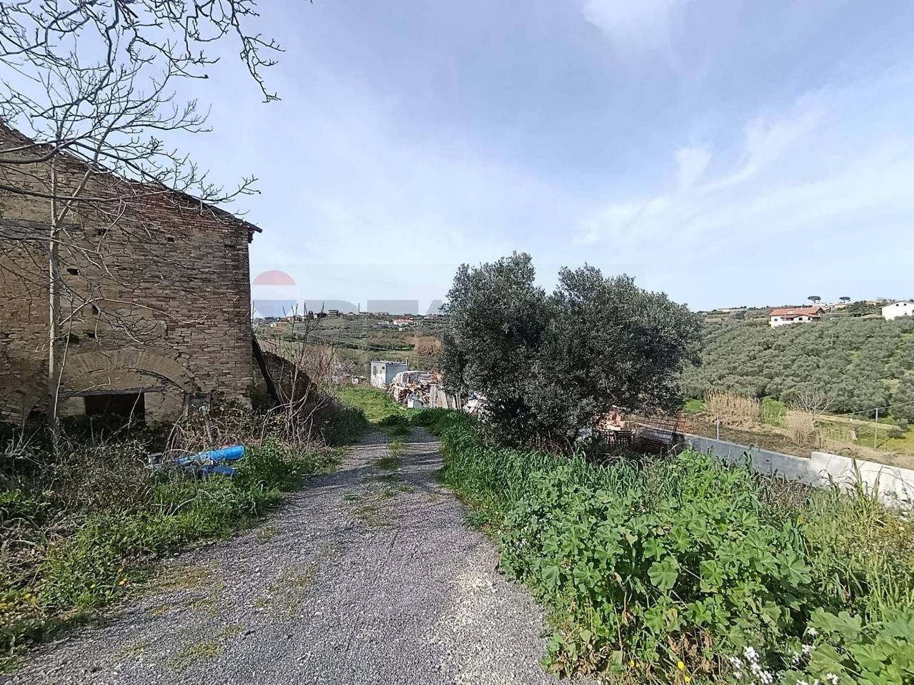 immagine annuncio 3 di 8