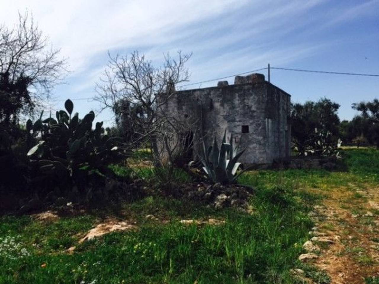 immagine annuncio 8 di 15