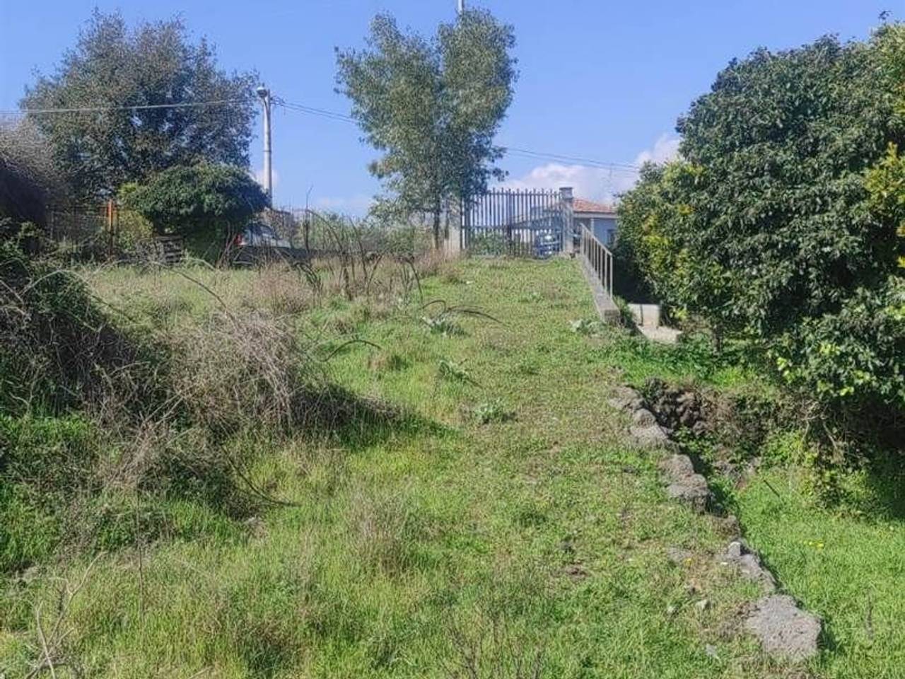 immagine annuncio 2 di 9