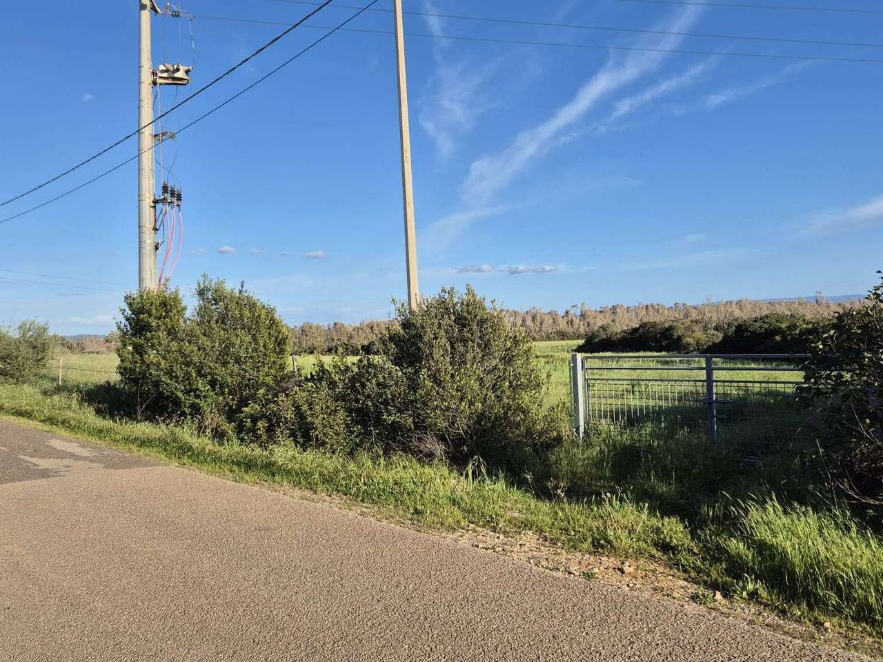 immagine annuncio 3 di 14