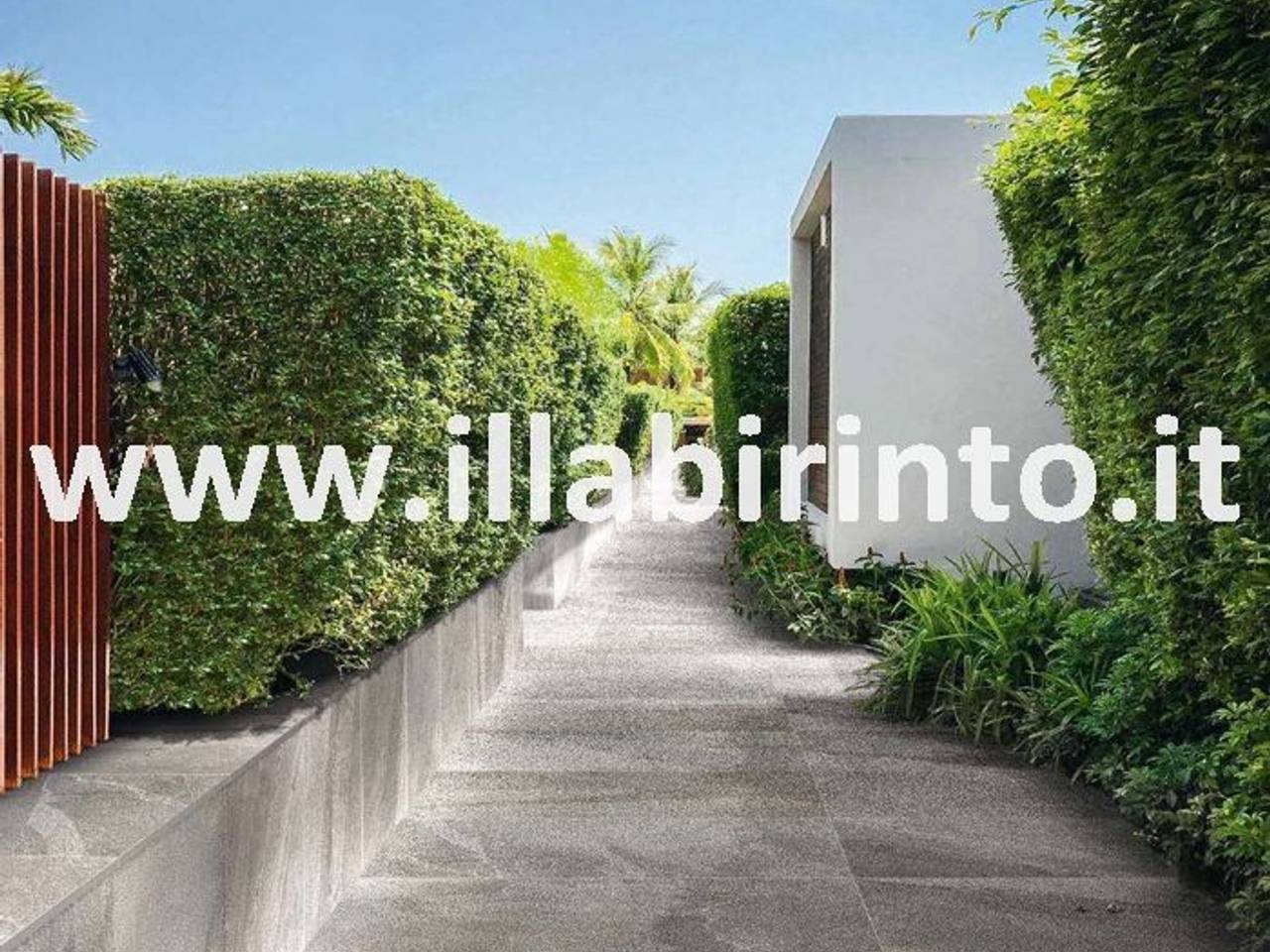 immagine annuncio 3 di 8