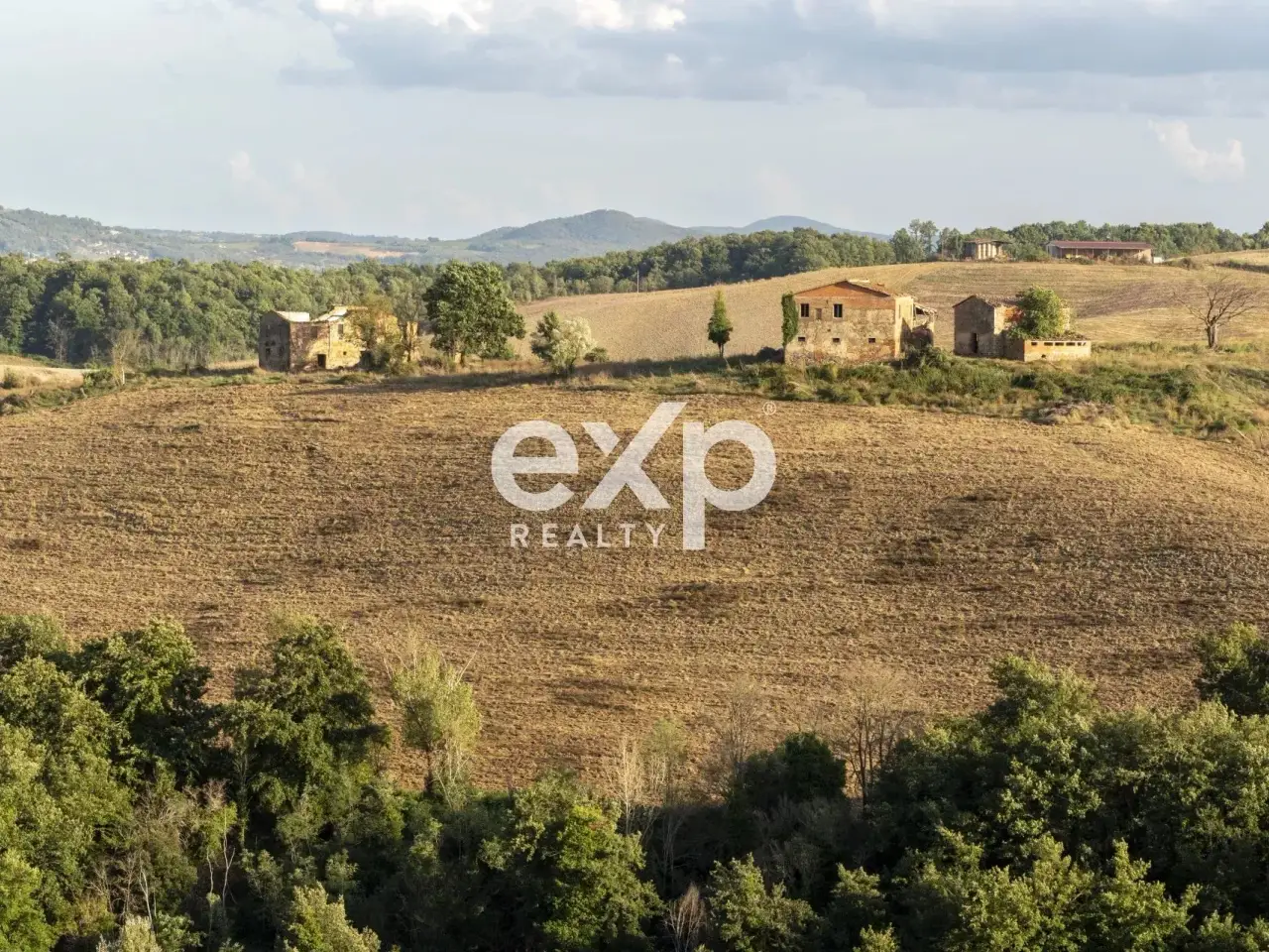 Azienda agricola in , Asciano, {3} - Foto 2